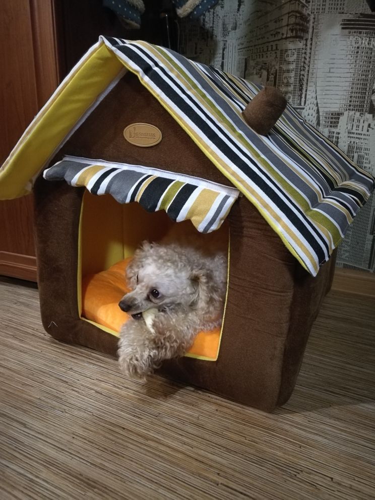 softstripeddoghouse
