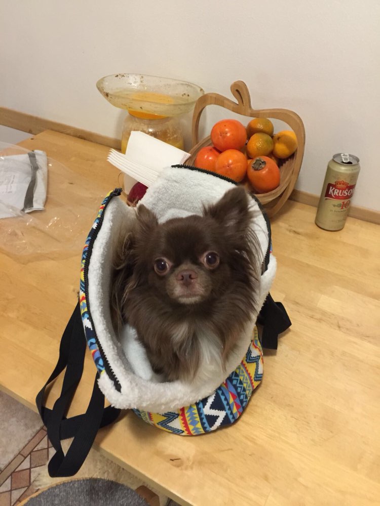 softtribalprintshoulderbagpetcarrier