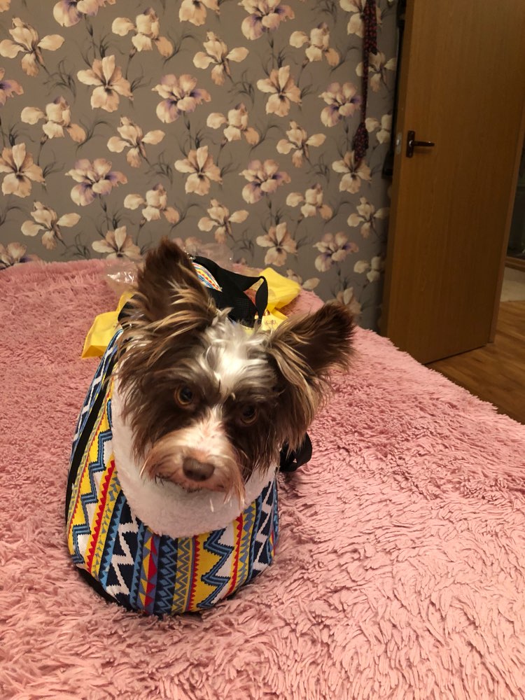softtribalprintshoulderbagpetcarrier