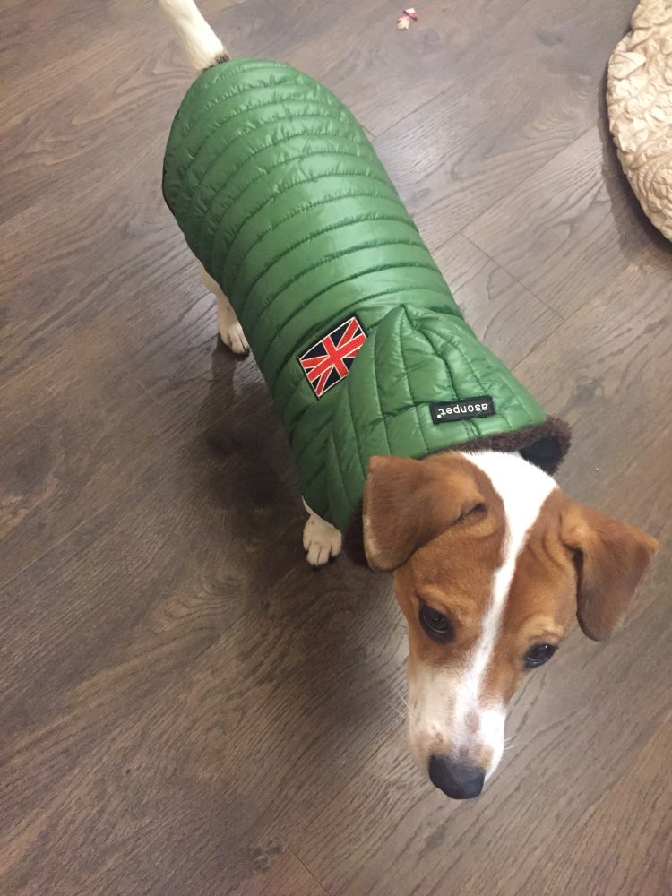 unionjackhoodedpufferjacket