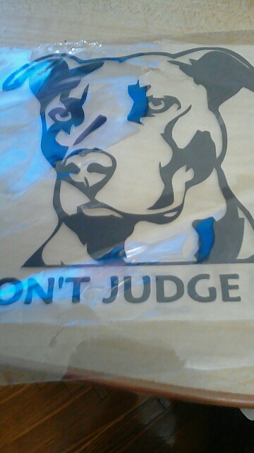 pitbulldontjudgemevinylsticker