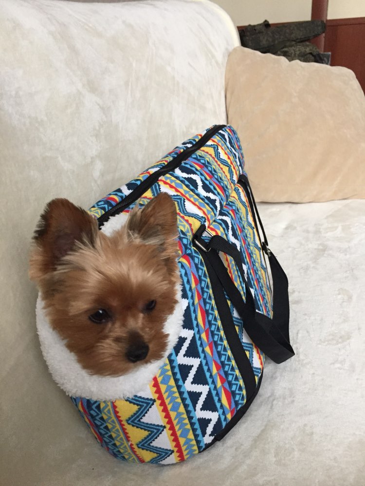 softtribalprintshoulderbagpetcarrier