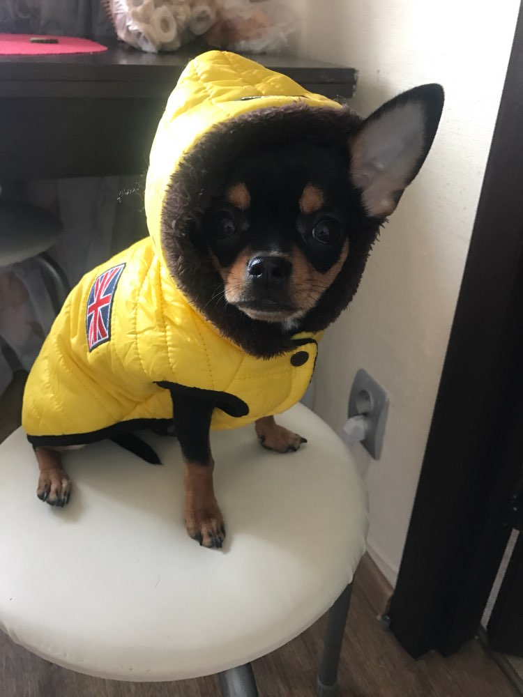 unionjackhoodedpufferjacket