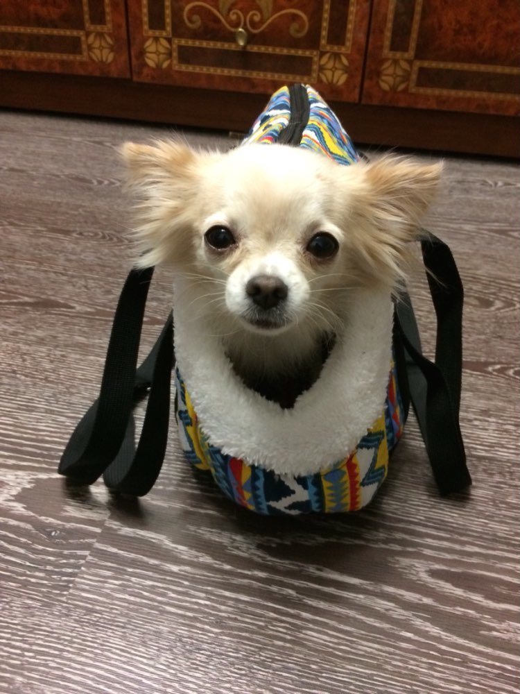softtribalprintshoulderbagpetcarrier