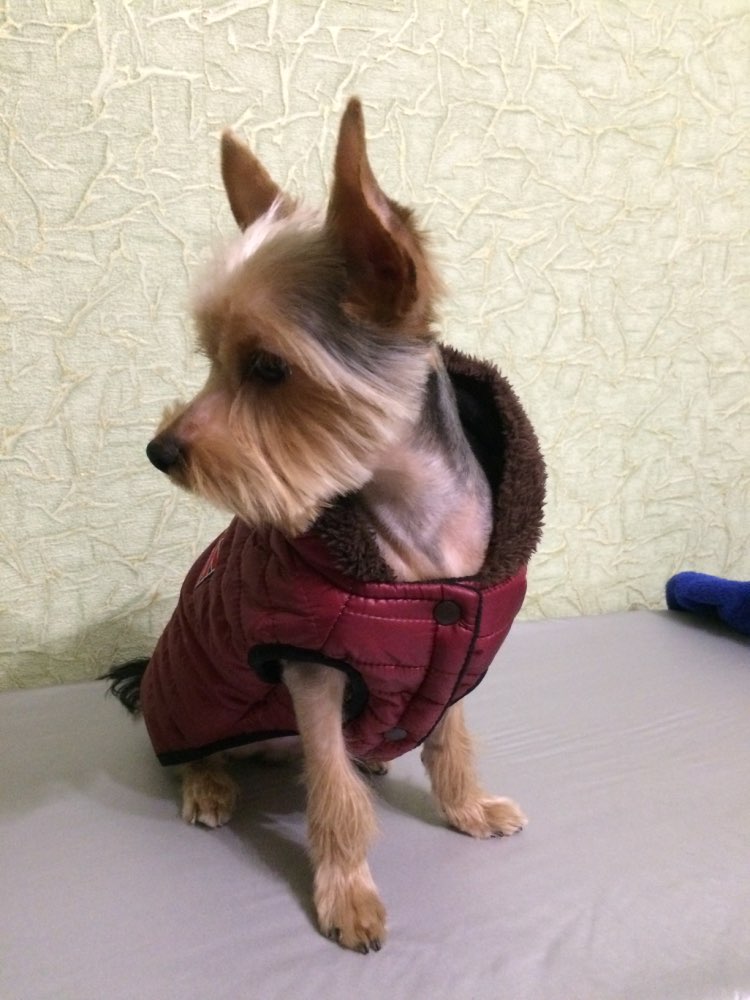 unionjackhoodedpufferjacket