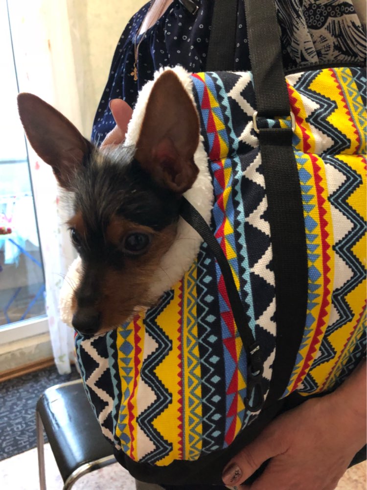 softtribalprintshoulderbagpetcarrier