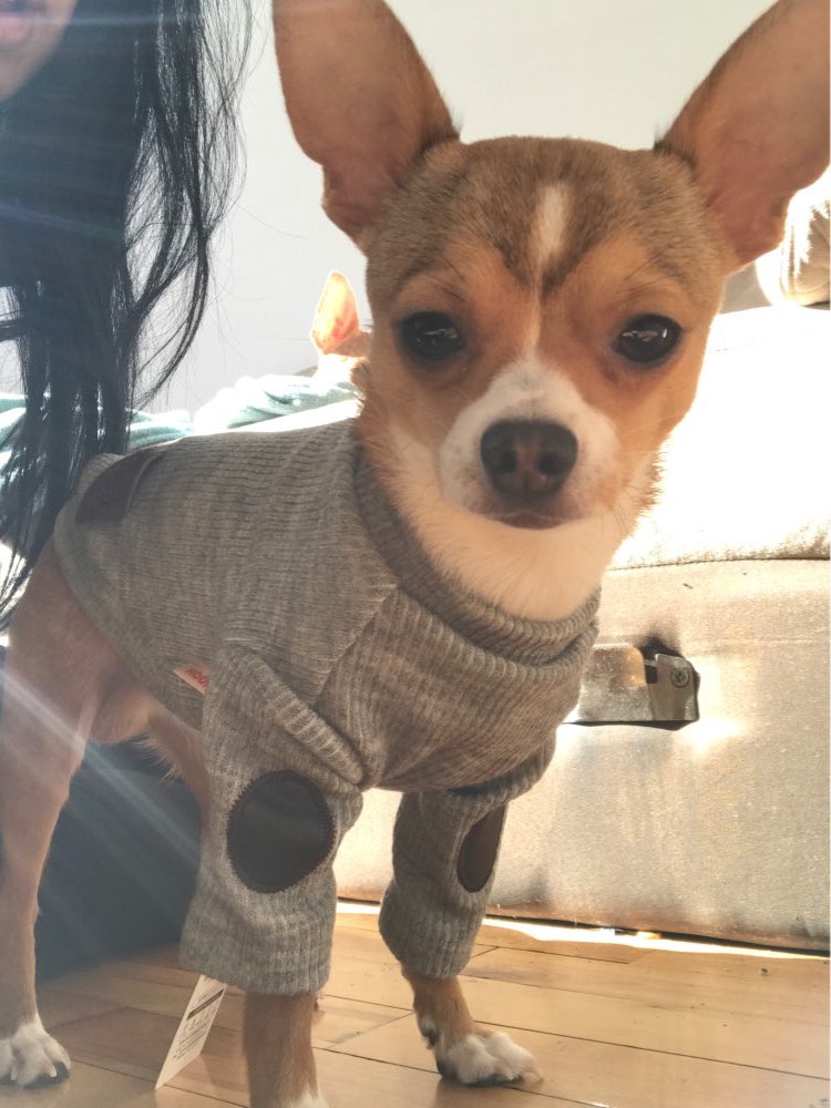 ribbedboatnecksweater