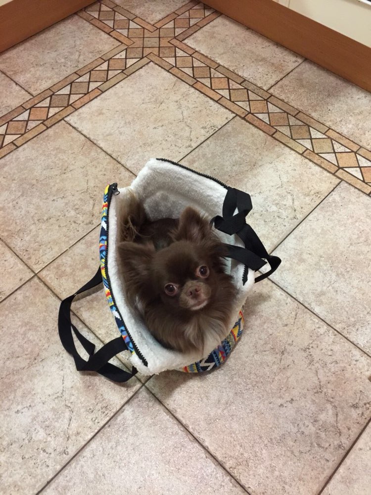 softtribalprintshoulderbagpetcarrier