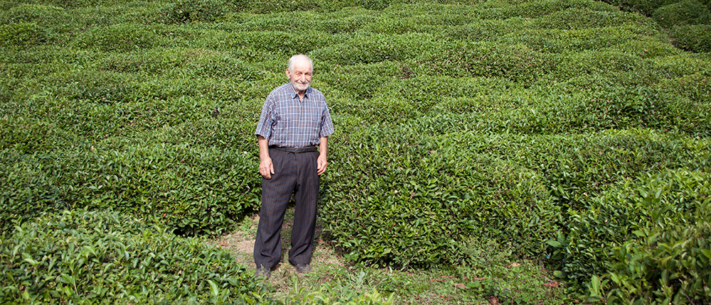 Shaqro in his tea plantation, in Zarati, Georgia. Shaqro in his tea plantation, in Zarati, Georgia.